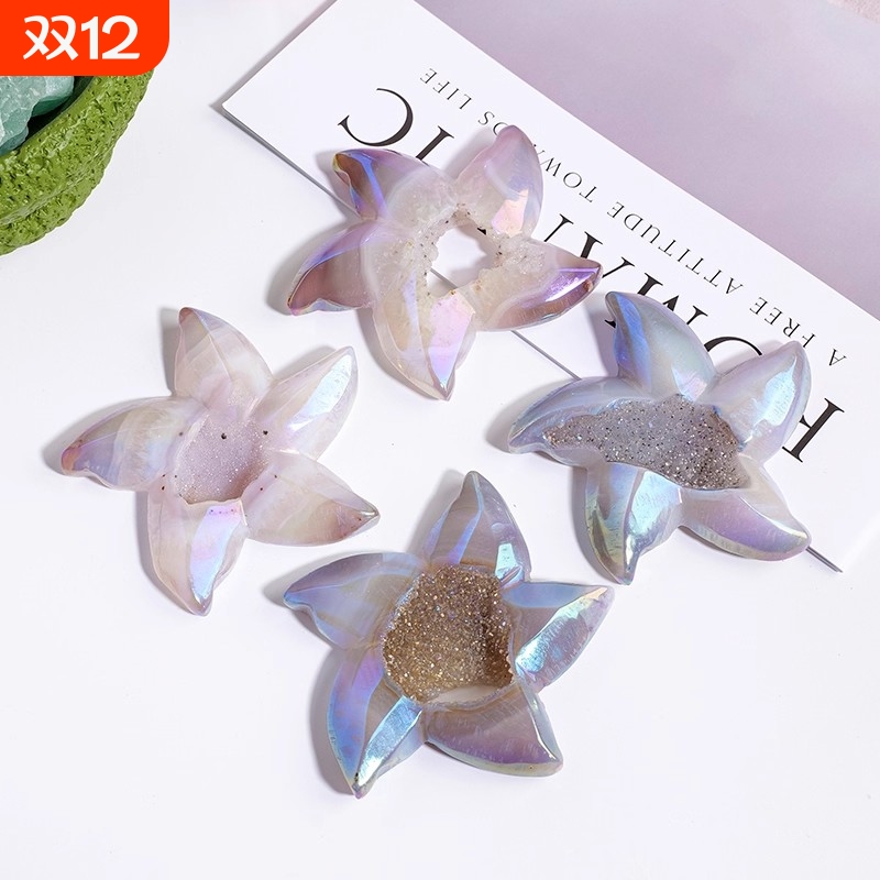 天然水晶电镀玛瑙晶洞海星玛瑙