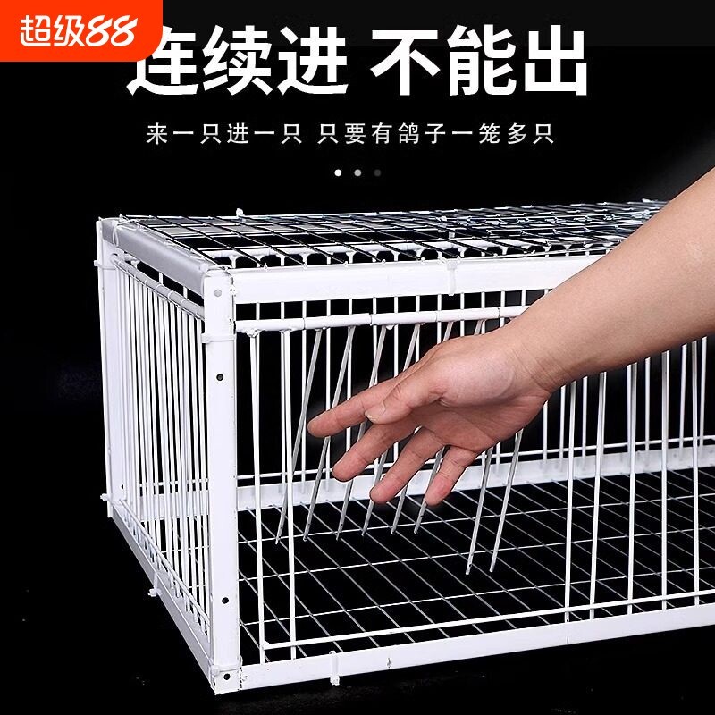 天落笼鸽子笼鸽子活络门图片