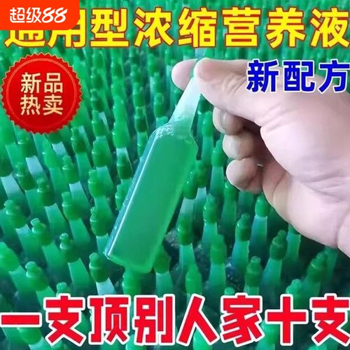 家用盆栽植物绿萝营养液发财树富贵竹水培花卉通用型绿植养花肥料