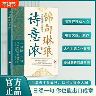 正版速发锦句琳琅诗意浓清雅诗词满腹经纶让你的语言充满文化底蕴古文今译有多美千年词韵磕到到骨子里的诗句书籍白话诗书