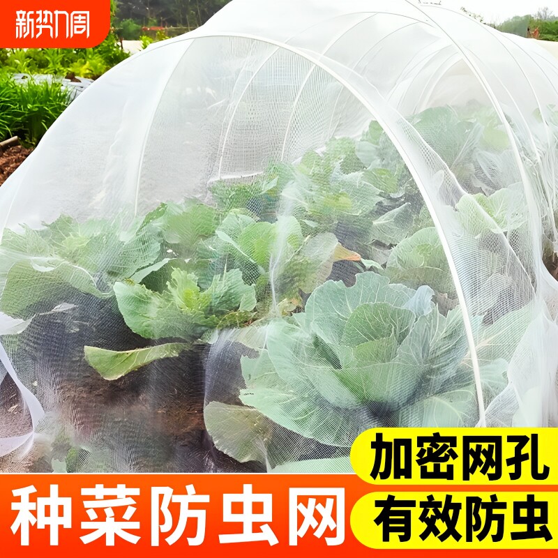 防虫网种菜专用大棚蔬菜农用种植纱网菜地网罩加厚加密纱网专用网