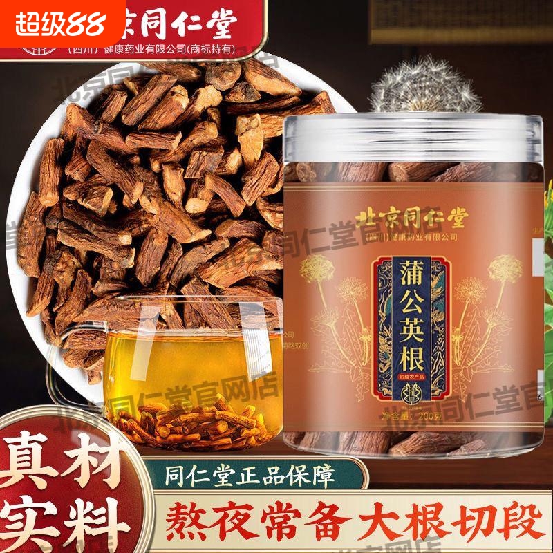 北京朕皇蒲公英根特级野生蒲公英根茶中材药泡水店官网