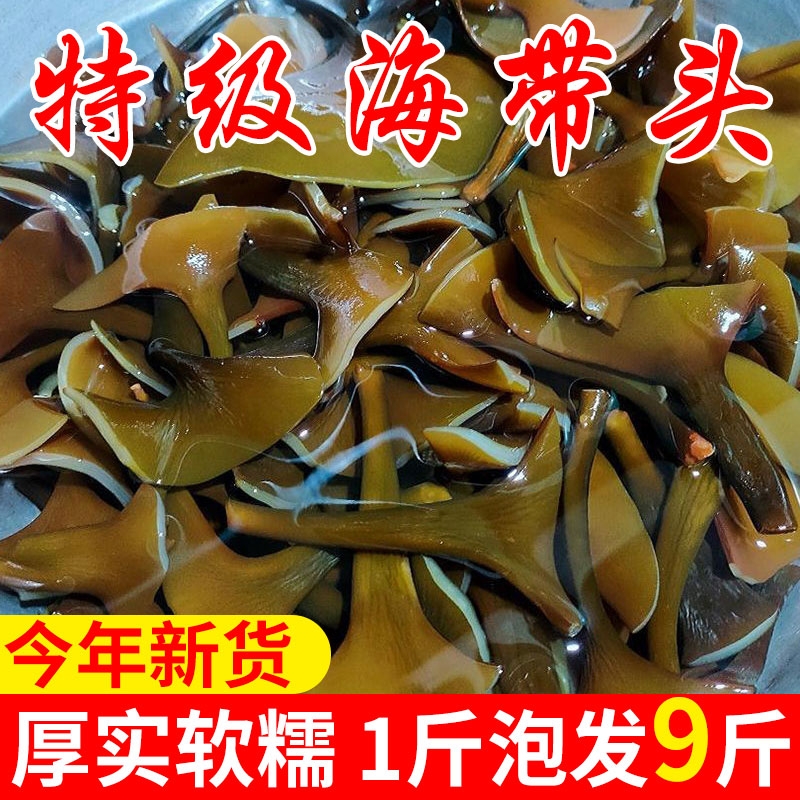 正宗福建霞浦海带头干货特级厚一级旗舰店无沙厚片煲汤新货日晒