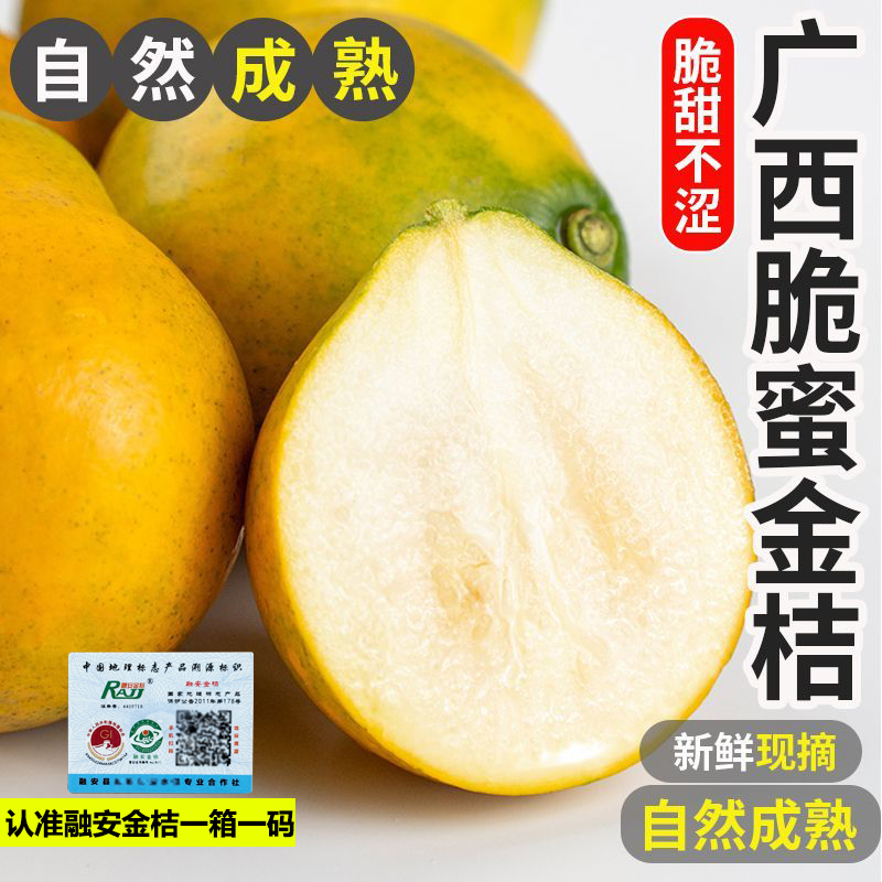 顺丰包邮 融安第三代脆蜜金柑金桔纯甜无酸爆汁无籽整件包邮