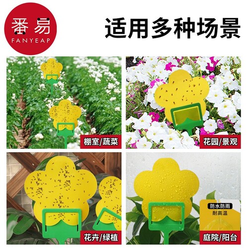 粘虫板B1pf0-小黄板双面小飞虫诱虫沾虫纸果蝇诱捕器蚊子蓟马蔬菜