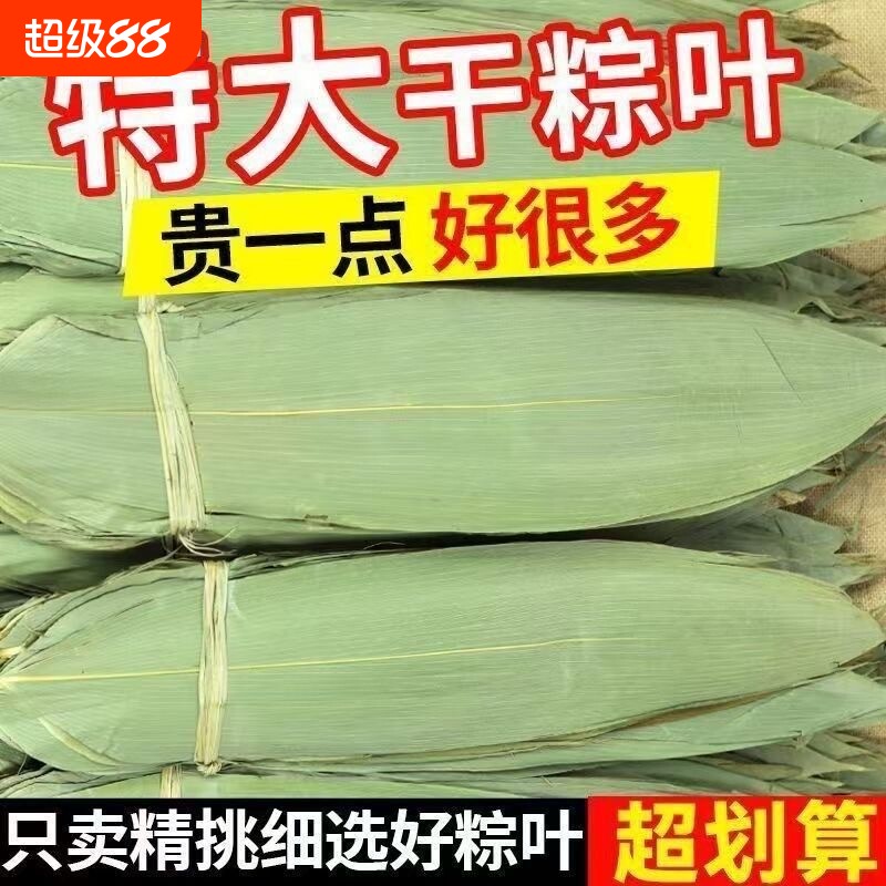 粽子叶粽叶干大号棕叶新鲜包粽子的竹叶子干粽叶商用箬叶材料图片