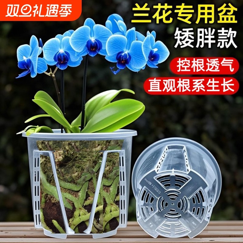 新款透明圆形矮胖盆花盆蝴蝶兰花石斛多肉叶插硬塑观根透气花盆