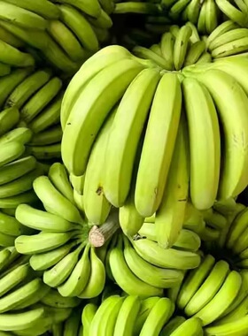 正宗广西香蕉3/5/9斤精选装当季水果青皮蕉皮软可食整箱包邮发货