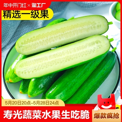 鲜馥寿光蔬菜生吃现摘水果小黄瓜