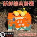 正宗江西赣南信丰脐橙10斤新鲜当季 水果整箱果园直发手剥橙子甜橙