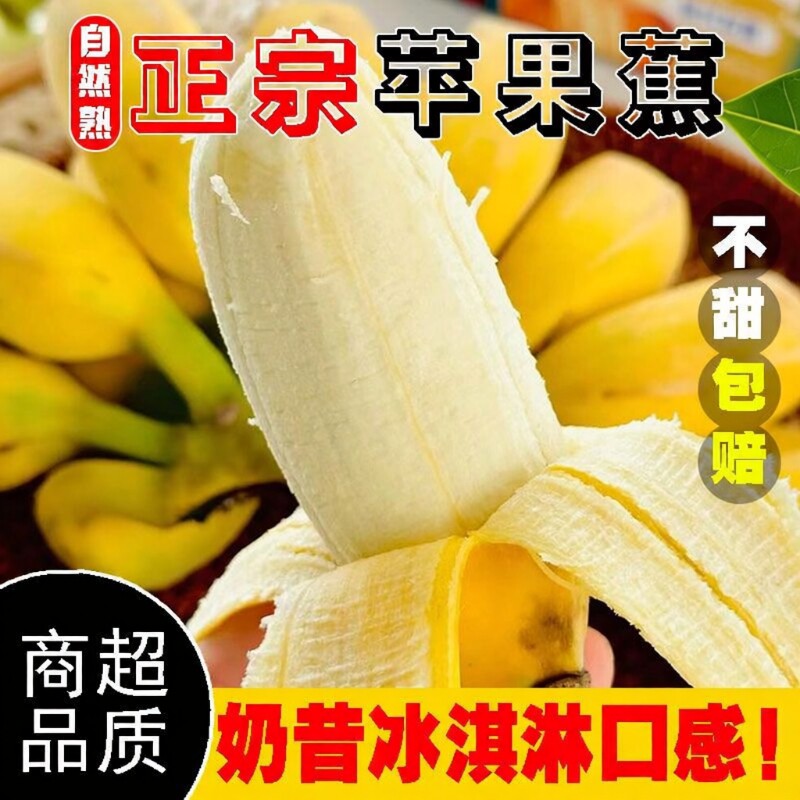 正宗广西苹果蕉当季现摘新鲜水果香蕉粉蕉薄皮大整箱批发自然熟 - 实物图