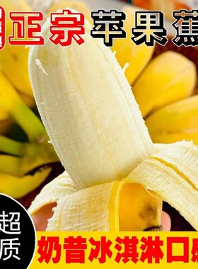 正宗广西苹果蕉当季现摘新鲜水果