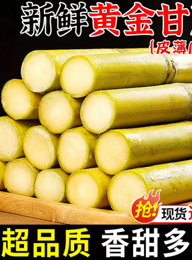 正宗云南黄金脆皮甘蔗新鲜9斤 整根黄皮易去皮现砍甘蔗批发甜杆
