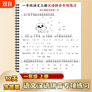 小学一年级上册语文汉语拼音专项练习含答案核心常考题型12天练习幼小衔接必练