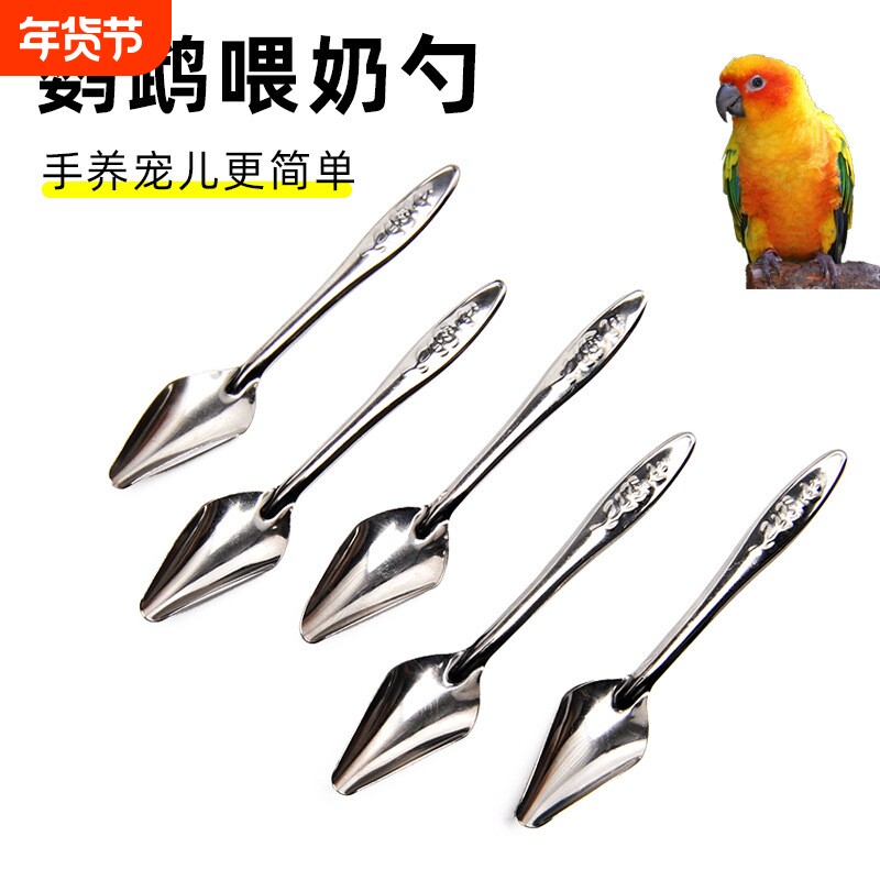 鹦鹉喂食器喂鸟虎皮八哥手养雏鸟喂奶勺子雏鸟幼鸟喂奶勺子玄凤