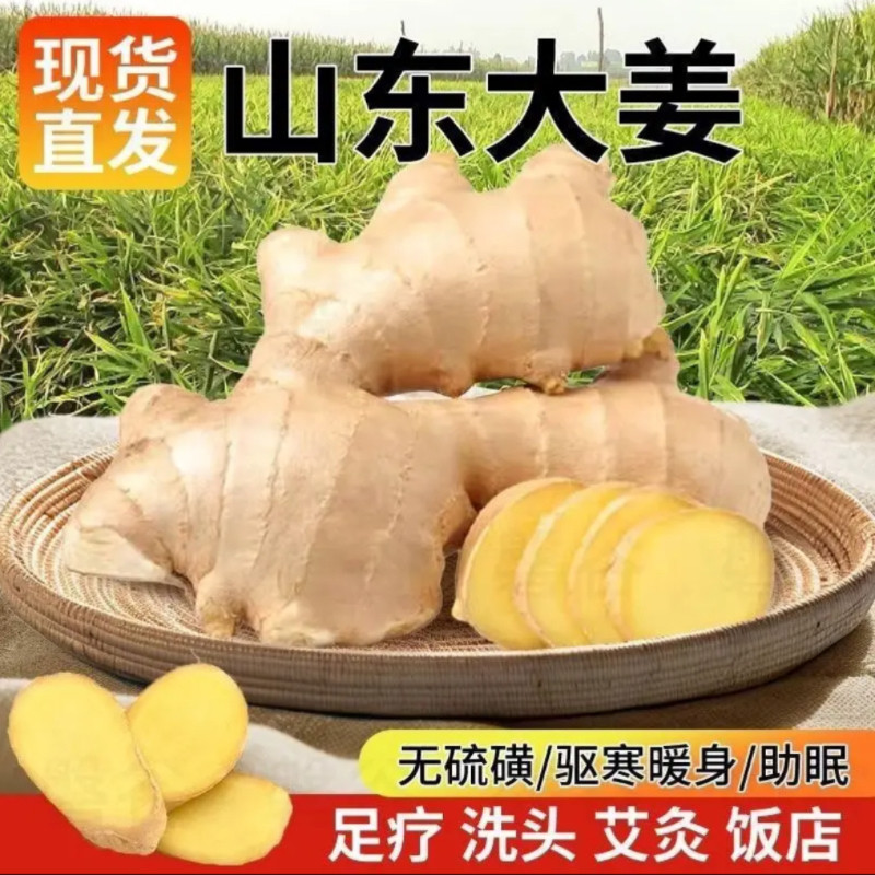 山东大姜优质姜新鲜纯天然大块月子姜绿色食品无硫