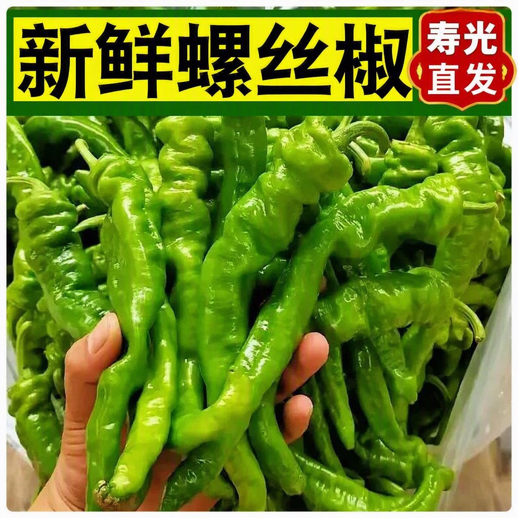 农家自种螺丝椒青椒香辣薄皮辣椒菜新鲜蔬菜现摘香辣辣椒超特辣子