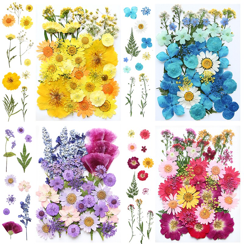 干花diy材料包永生花压花片草手工滴胶书签真花植物树叶标本押花