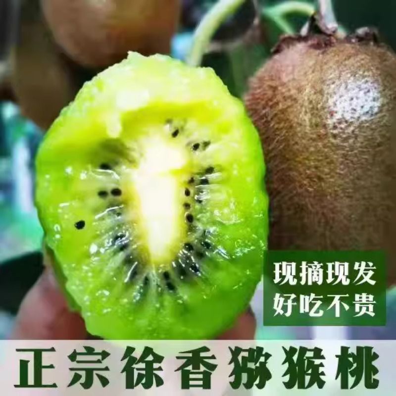 徐香绿心猕猴桃新鲜现摘清香爽口应季水果整箱孕妇大果应季奇异果