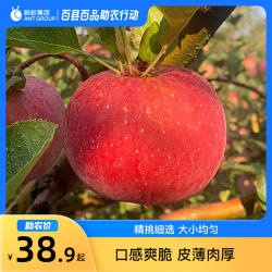 10月百县百品助农贵州威宁苹果4.5斤