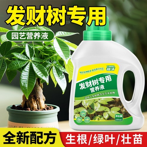发财树营养液肥料专用肥专治烂根掉叶室内盆栽绿植物花肥通用种植