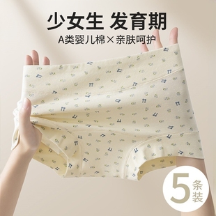 女士纯棉中腰10A抑菌全包臀亲肤大码 平角内裤 四角裤 花间碎花