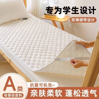 【A类母婴亲肤四季款】床褥垫子