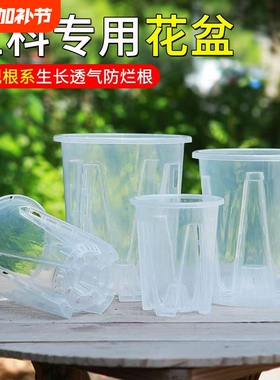 蝴蝶兰花盆专用兰花水苔透明控根生根盆塑料镂空防烂家用田园阳台