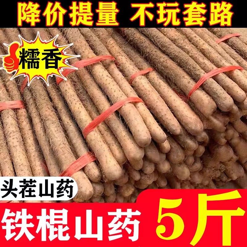 正宗河南焦作温县垆土铁棍山药新鲜现挖粉糯怀淮山生铁杆包邮甘甜
