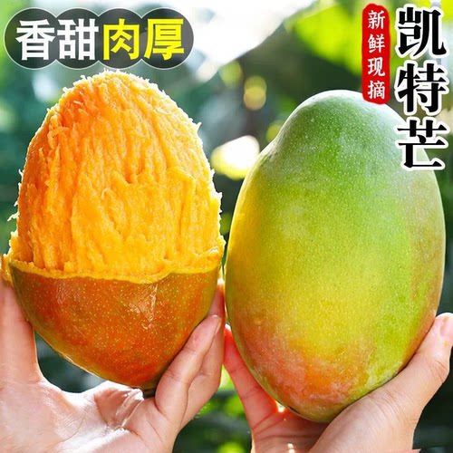 正宗攀枝花凯特芒爆甜多汁