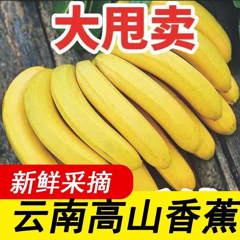 【精选】云南高山香蕉新鲜当季水果整箱大香蕉非小米蕉甜整需催熟