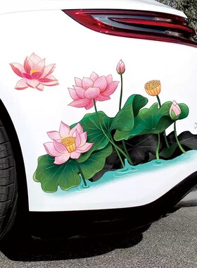 莲花图案贴画大面积遮划痕花朵