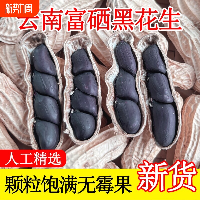 云南黑花生种子富硒黑皮带壳官方旗舰店晒干袋装年货新货大粒好吃