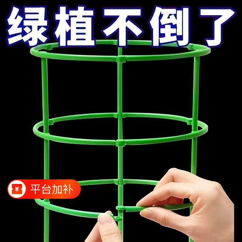 蟹爪兰花架子爬藤架火龙果月季绿萝太阳花植物爬藤支撑杆固定花卉