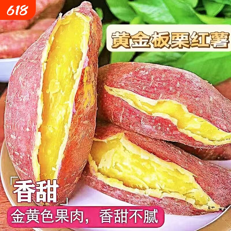新鲜黄金板栗味红薯软糯香甜栗香粉面蜜薯农家自种番薯地瓜山芋