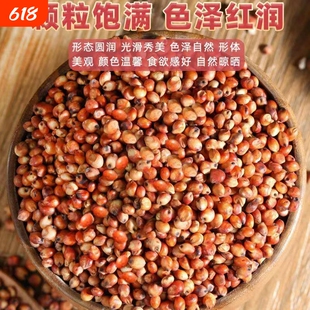 新红高粱高粱带皮高粱米颗粒饱满酿酒喂鸽子鸽粮去壳高粱