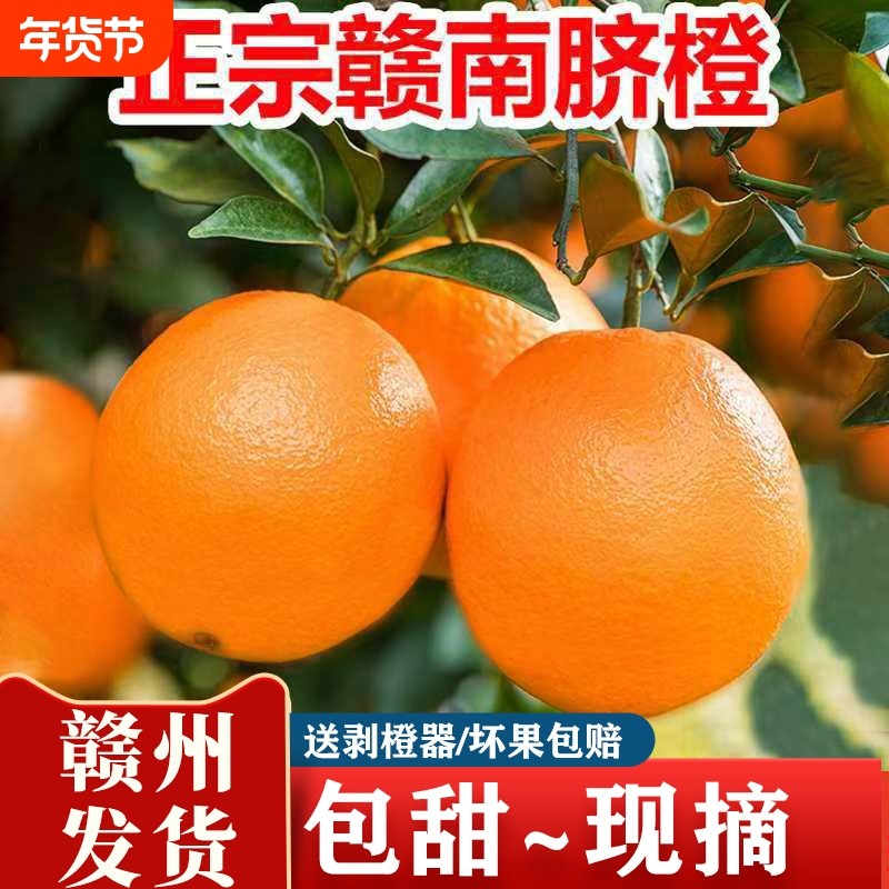 正宗赣南脐橙手剥橙子新鲜9斤水果当季赣州现摘产地脐橙年货可口,水产肉类/新鲜蔬果/熟食,橙,淘宝优惠券,粉丝福利购,淘宝优惠卷