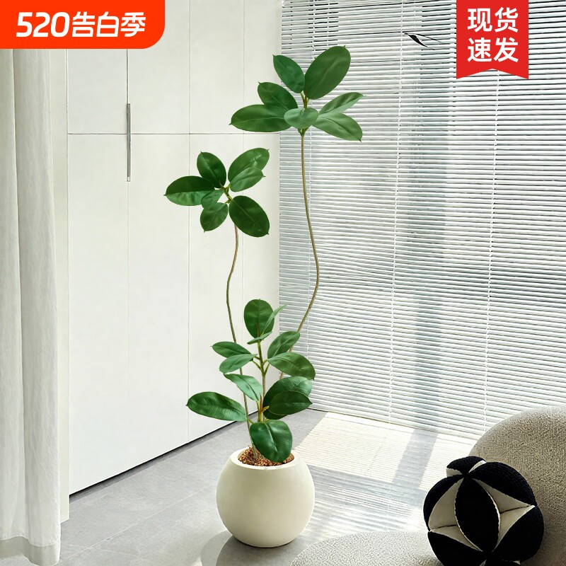 植物黑金件客厅高级感装饰摆刚室内沙发电视柜旁假树仿新品