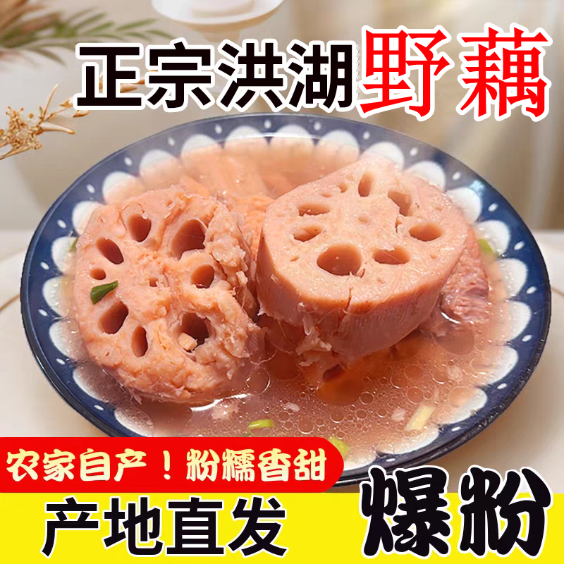 洪湖野藕粉糯莲藕新鲜煲汤藕现挖湖北红藕炖汤面藕