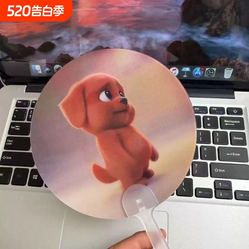 新款可爱手工编织小蒲扇女夏天式竹编扇子夏季手摇扇拍照道具光栅