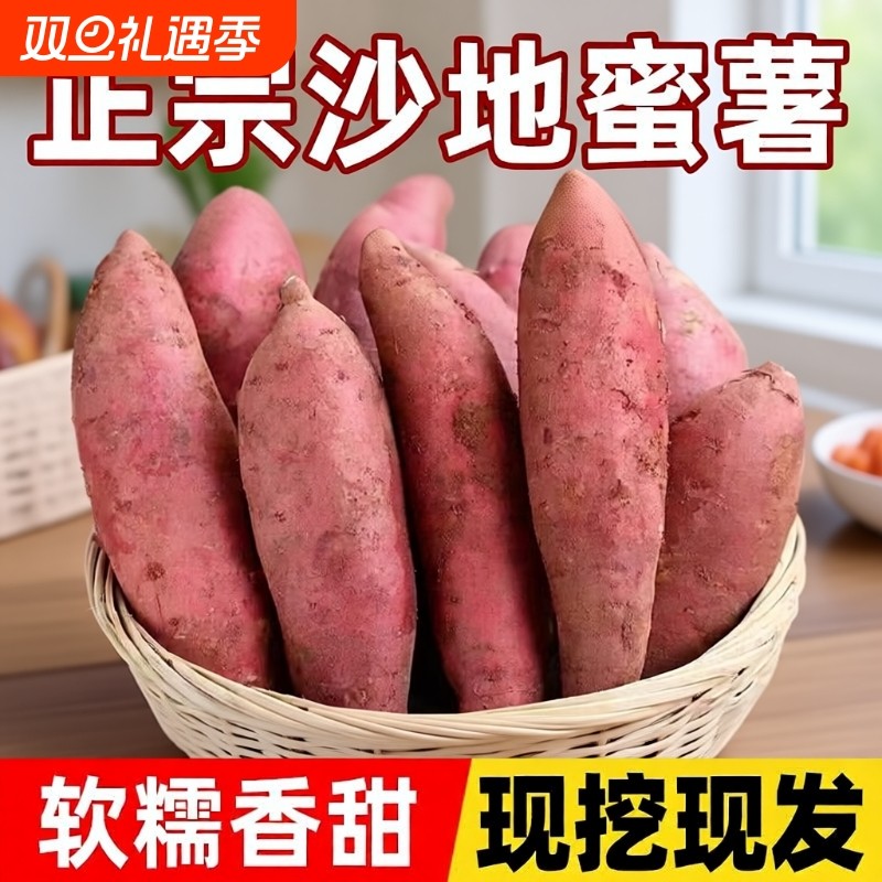 沙地蜜薯黄心地瓜红薯现挖现发山芋超甜板栗番薯粉糯软糯香甜可口