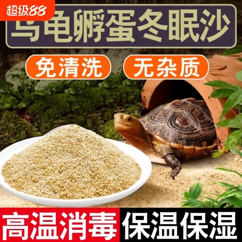 乌龟冬眠孵化产蛋细沙子龟缸造景装饰专用石头河沙免洗螃蟹孵蛋