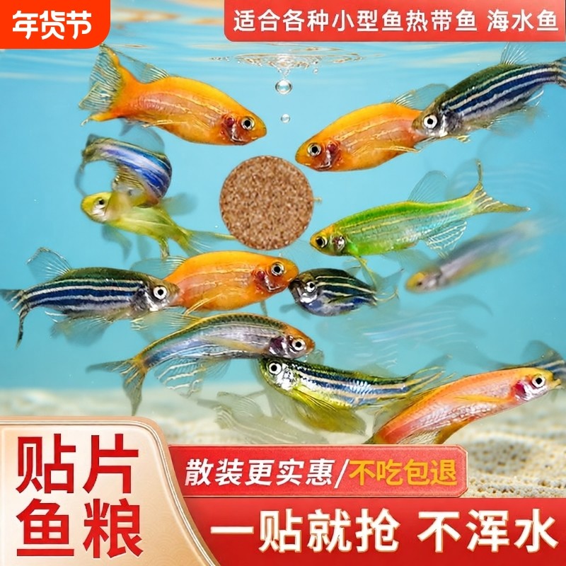 鱼食贴片小型热带鱼饲料孔雀鱼灯科鱼斗鱼金鱼红虫丰年虾通用鱼粮,宠物/宠物食品及用品,观赏鱼饲料,淘宝优惠券,粉丝福利购,淘宝优惠卷