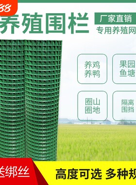 栏杆户外绿网铁网格网拦鸡网