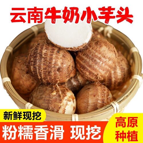 今年云南新鲜牛奶毛芋头当季蔬菜