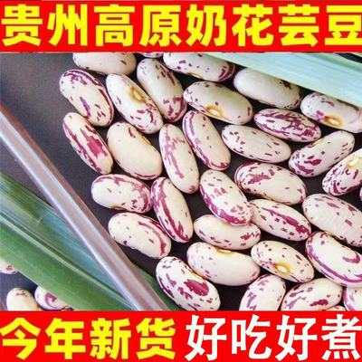 贵州雀蛋豆新货奶花豆花生豆农家自种四季豆米干货花豆芸豆批发