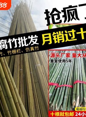 小竹杆爬藤架竹竿菜园搭架豆角竹篱笆彩旗竹竿子花架竹子黄瓜番茄