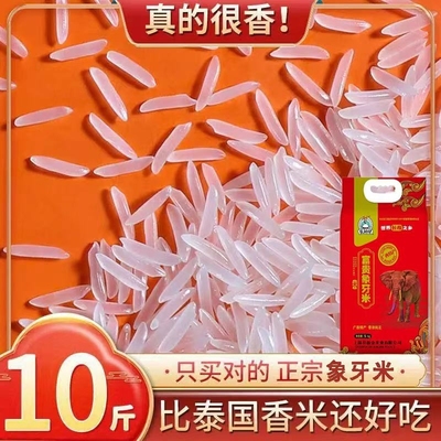 广西象牙大米长粒香5kg一级米
