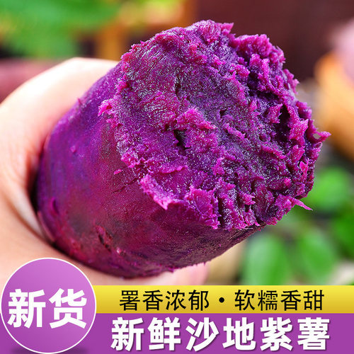 新鲜紫薯农家自种沙地番薯