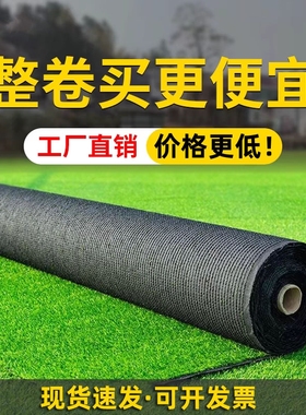 假草坪仿真绿色草皮地毯户外人造塑料垫子地垫阳光房屋顶隔热围挡